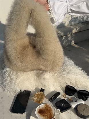 레듀브 사가폭스퍼토트백